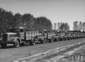 A view showing the new Fiat truck 1940_1.jpeg