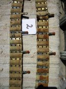 IMG_7435.JPG