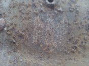 IMG_20150615_192652.jpg