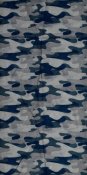3-ASvFO0684.jpg