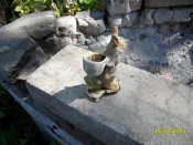 SDC11472.jpg