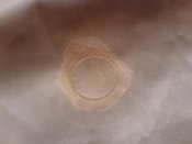 DSC00758.jpg