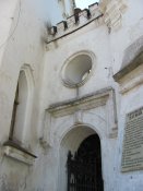 IMG_4123.jpg