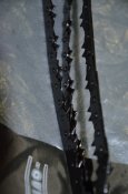 DSC_1480.JPG
