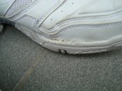 DSC01013.JPG
