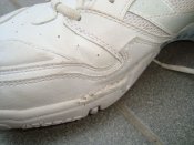 DSC01014.JPG