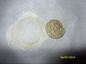 SDC11573.jpg