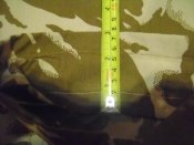 DSC05435.JPG