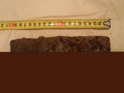 DSC07728.JPG