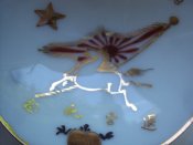 DSC00727.JPG