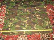 IMG_7203.JPG