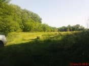 DSC03590.JPG