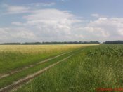 DSC03597.JPG