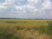 DSC03605.JPG