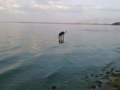 160720101052.jpg