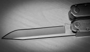 IMG_1891_1.JPG