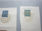 IMG_5508.JPG