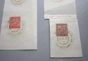 IMG_5510.JPG