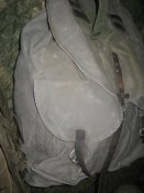 ty 2339.jpg