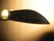 IMG_2769.JPG