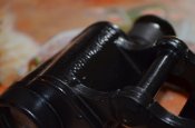 DSC_0214.JPG
