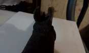 IMAG0571.jpg