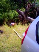 IMG0254A.jpg