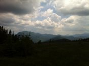 IMG_1377.JPG