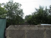 IMG_1251.jpg