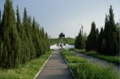 SDC12592.jpg