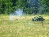 IMG_7099.jpg