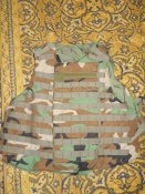 DSCN0781.jpg