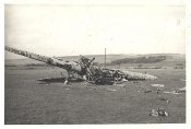 Britisches Flugzeug Aircraft.JPG