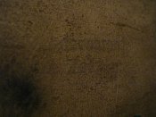 IMG_2858.jpg