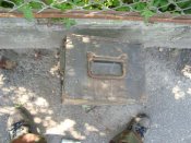 DSC07700.JPG