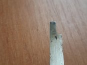 20150701_173953.jpg