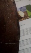 IMAG0650.jpg