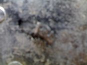 25072010689.jpg