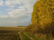 20131012_154636.jpg