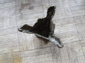 DSCF2012.jpg
