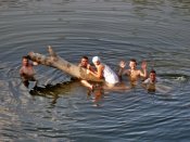 SDC10416.jpg