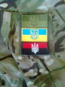 159096.medium.jpg