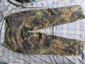 IMG_3621[1].JPG