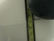 IMG_4271.JPG