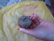 DSCN3155.JPG