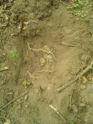 IMG_20150711_161600.jpg