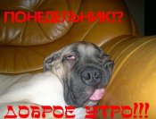 orig_635bb7e2bf4a228c8e648cc479e8c6e5.jpg