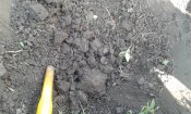 20150712_151223.jpg