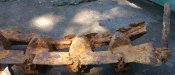 DSC_0019-8.jpg