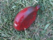 IMG_3661.JPG